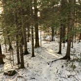 Review photo of Finland State Forest Campground by Janet R., April 13, 2019