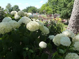 Camper-submitted photo at Bo Wood near Charleston, IL