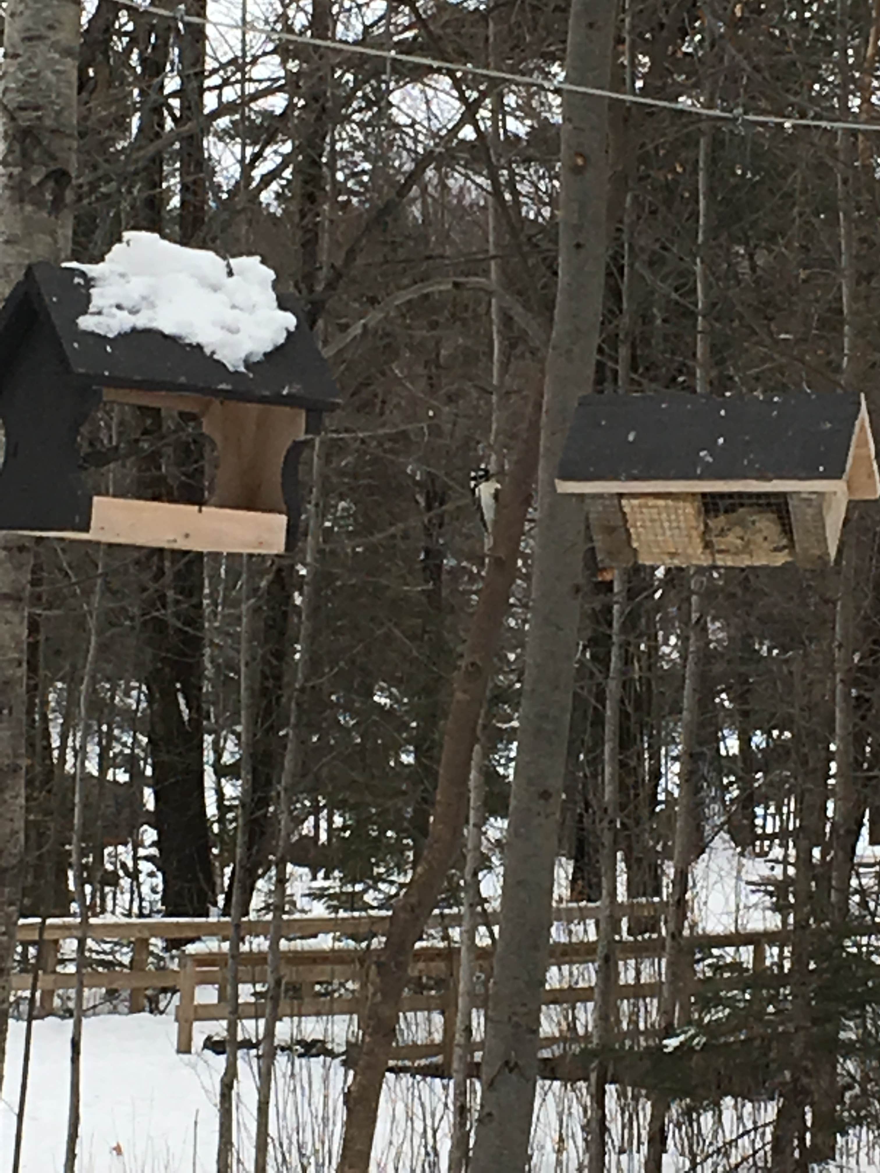 Janet R.'s photo of a cabin at Jay Cooke State Park Campground near Holyoke, MN