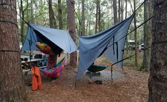 Jessica W.'s photo at Suwannee River State Park Campground near Mayo, FL