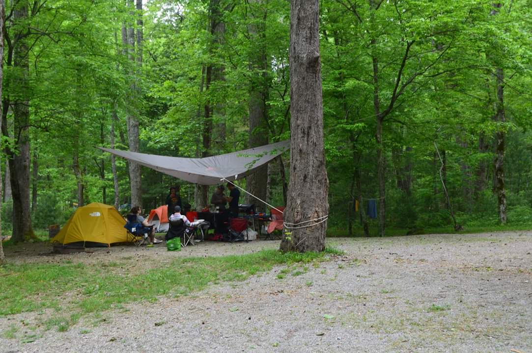 Camper submitted image from Cades Cove Campground — Great Smoky Mountains National Park - 4