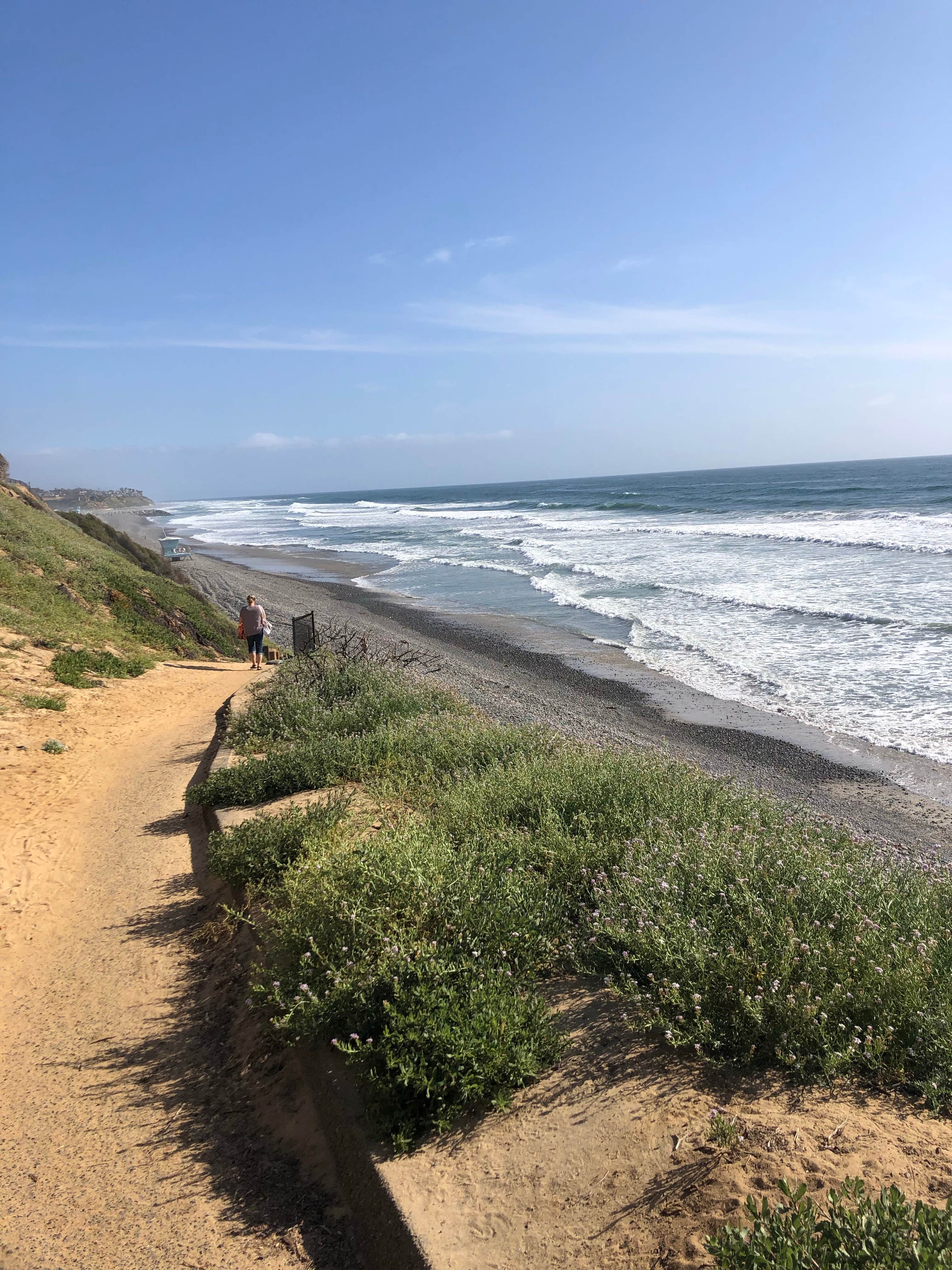 Camper submitted image from South Carlsbad State Beach Campground - 4