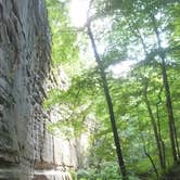 Review photo of Dunewood Campground — Indiana Dunes National Park by Bran P., August 26, 2016