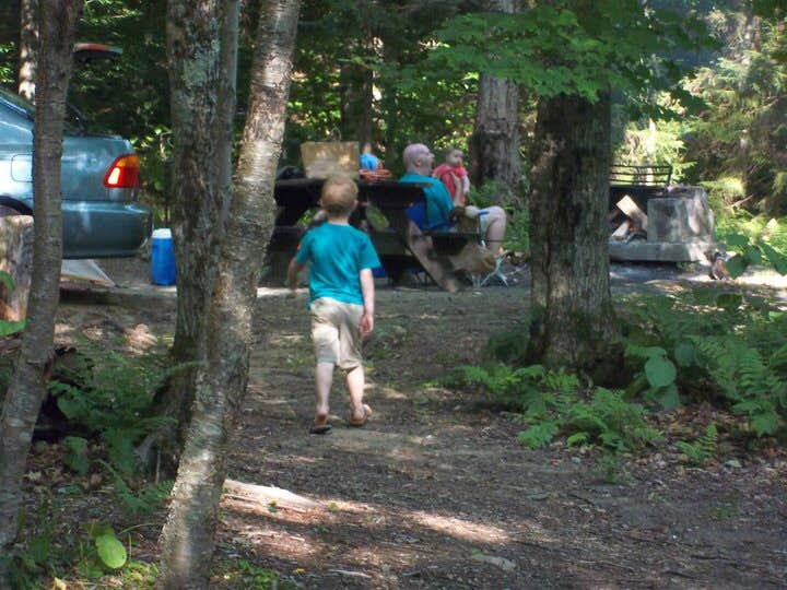 Camper submitted image from Nicks Lake Campground - 4