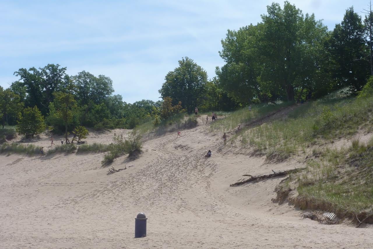 Camper submitted image from Dunewood Campground — Indiana Dunes National Park - 5