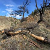 Review photo of Log Gulch Recreation Site by Sterling C., April 14, 2019