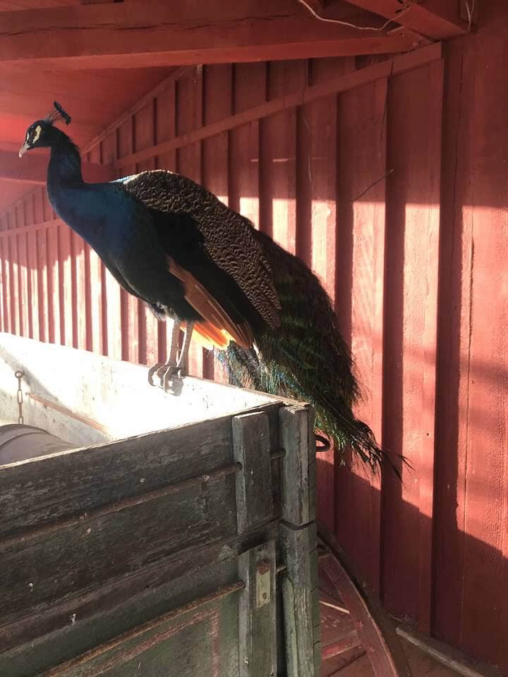 Camper-submitted photo at Caverns of Sonora near Eldorado, TX