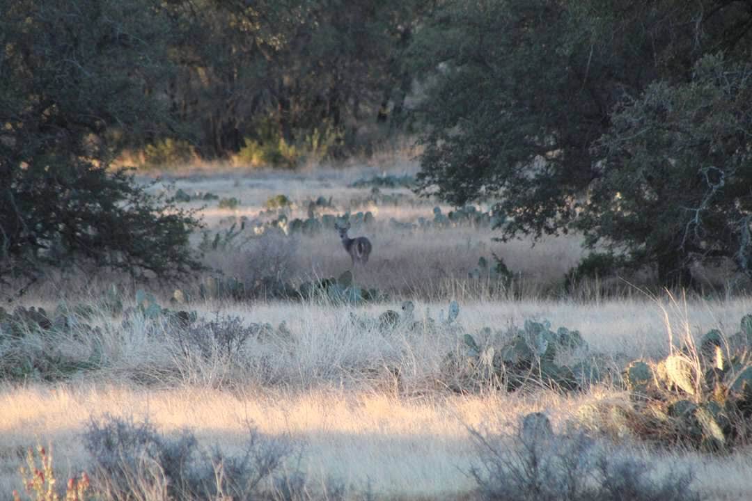 Camper-submitted photo at Caverns of Sonora near Eldorado, TX