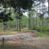 Review photo of Brick House Campground (Sc) — Francis Marion And Sumter National Forests by Karen F., April 14, 2019