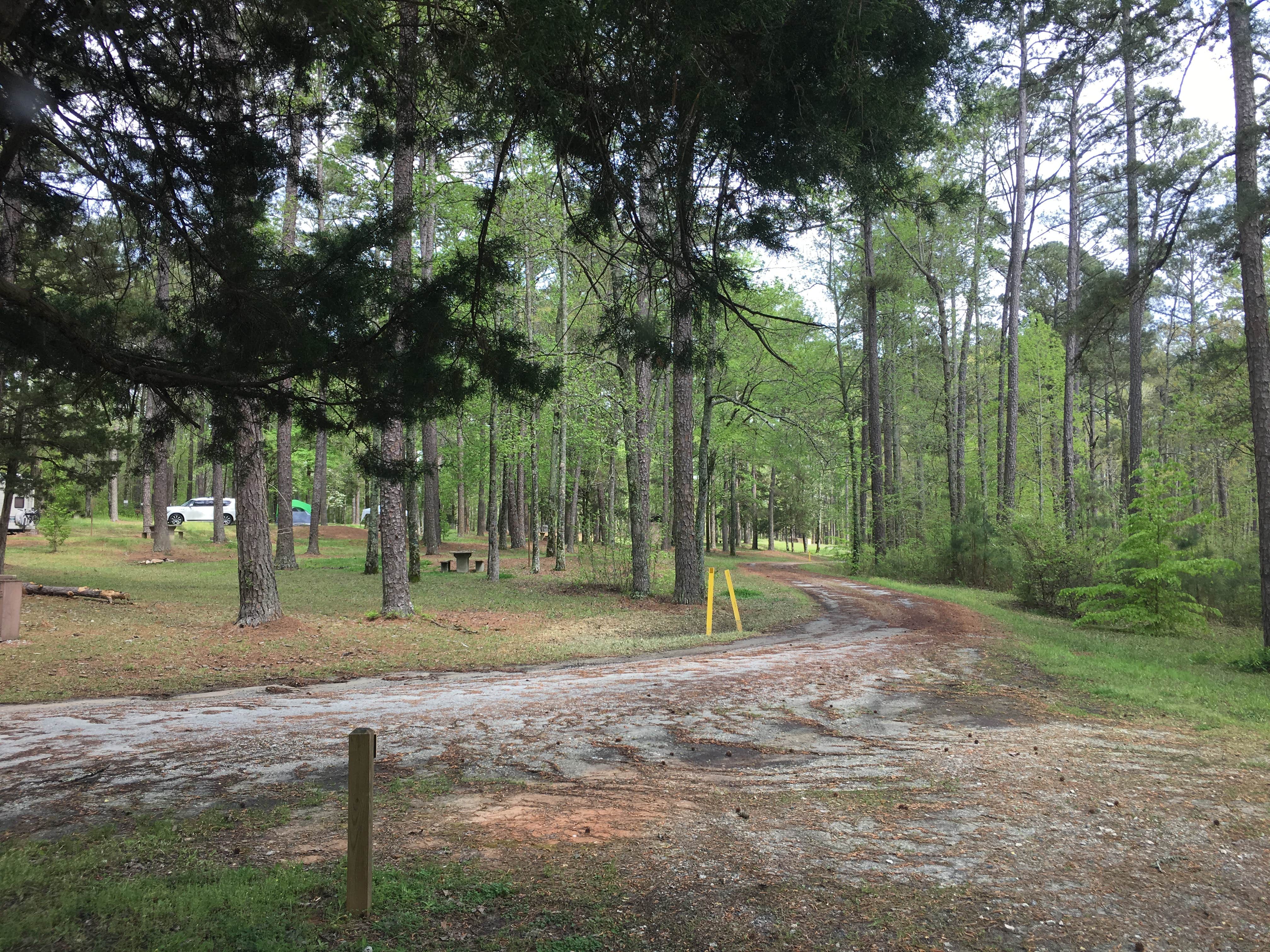 Camper submitted image from Brick House Campground (Sc) — Francis Marion And Sumter National Forests - 4