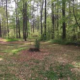 Review photo of Brick House Campground by Karen F., April 14, 2019