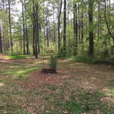 Review photo of Brick House Campground (Sc) — Francis Marion And Sumter National Forests by Karen F., April 14, 2019