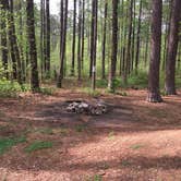 Review photo of Brick House Campground (Sc) — Francis Marion And Sumter National Forests by Karen F., April 14, 2019