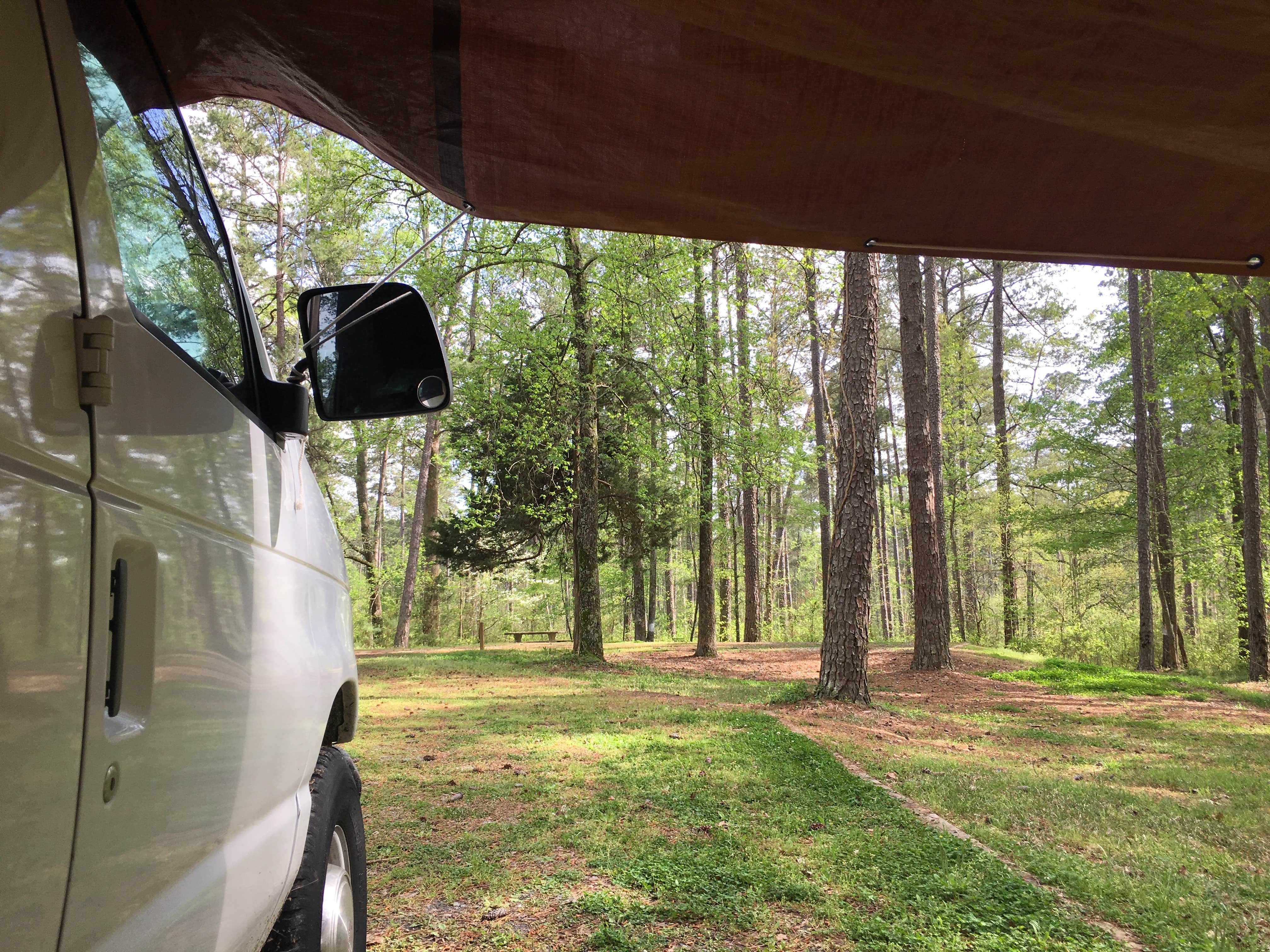 Camper submitted image from Brick House Campground (Sc) — Francis Marion And Sumter National Forests - 3