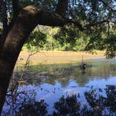 Review photo of Huntsville State Park Campground by Teresa W., April 14, 2019
