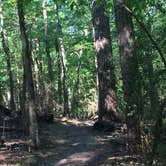 Review photo of Huntsville State Park Campground by Teresa W., April 14, 2019
