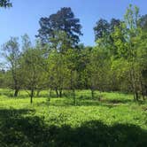 Review photo of Huntsville State Park Campground by Teresa W., April 14, 2019