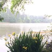 Review photo of Huntsville State Park Campground by Teresa W., April 14, 2019