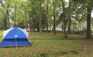 Teresa W.'s photo at Huntsville State Park Campground near Sam Houston National Forest