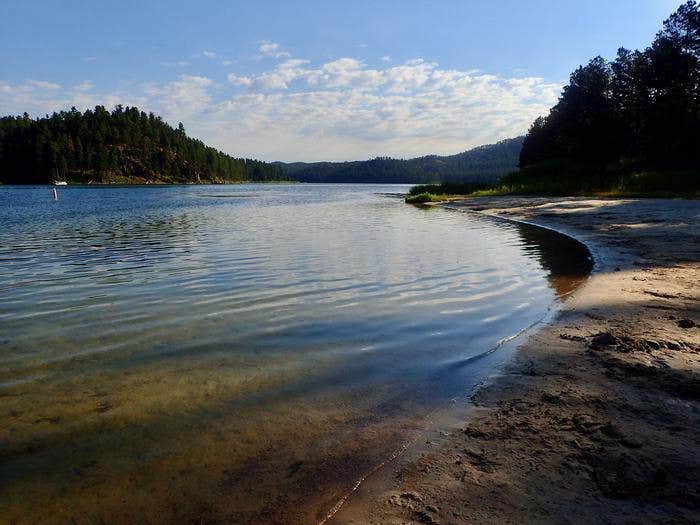 Camper submitted image from Sheridan Lake South Shore Campground - 1