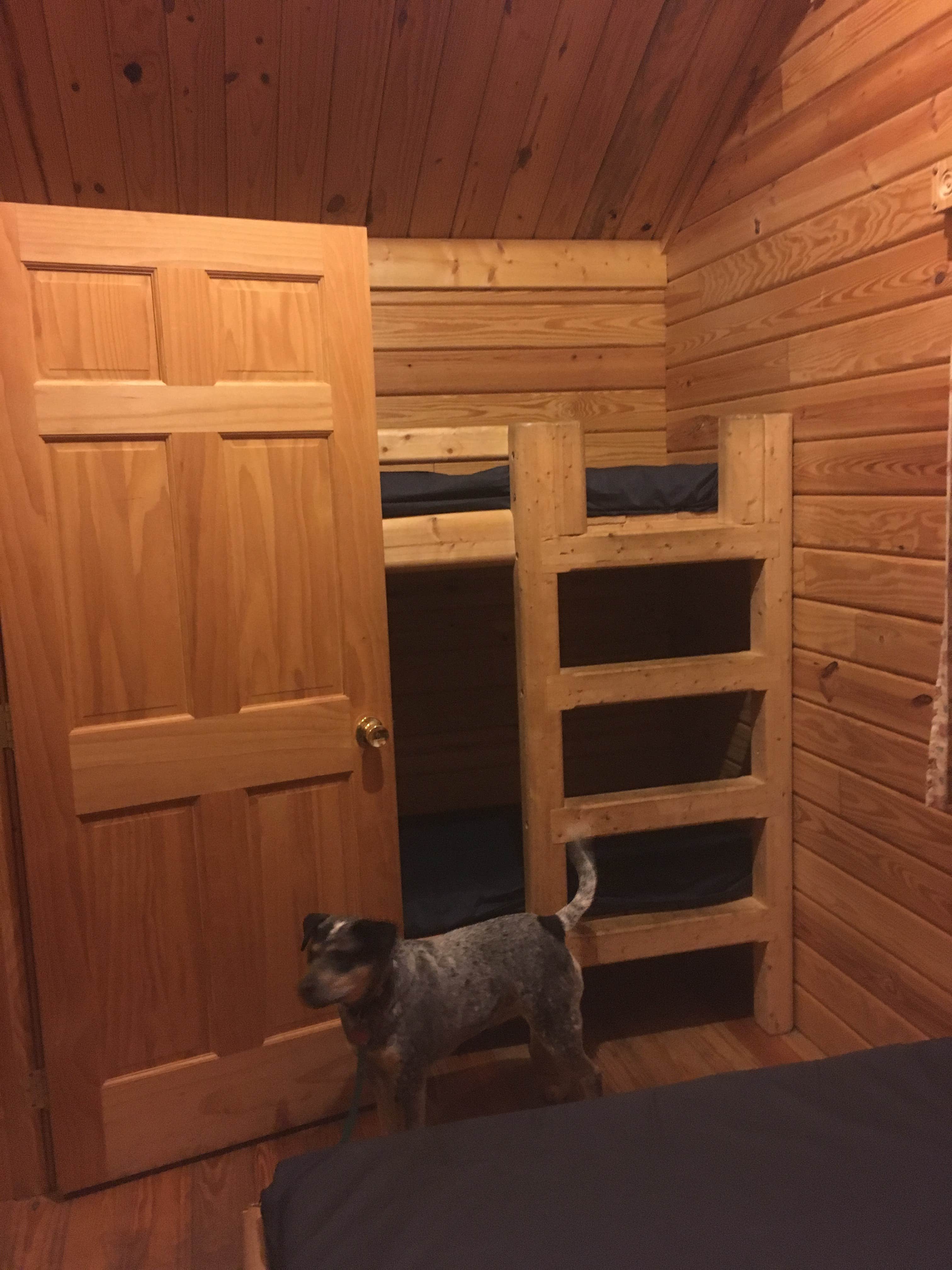 Camper-submitted photo at Jim Creek Wilderness Recreation Area near Mt. Baker-Snoqualmie National Forest