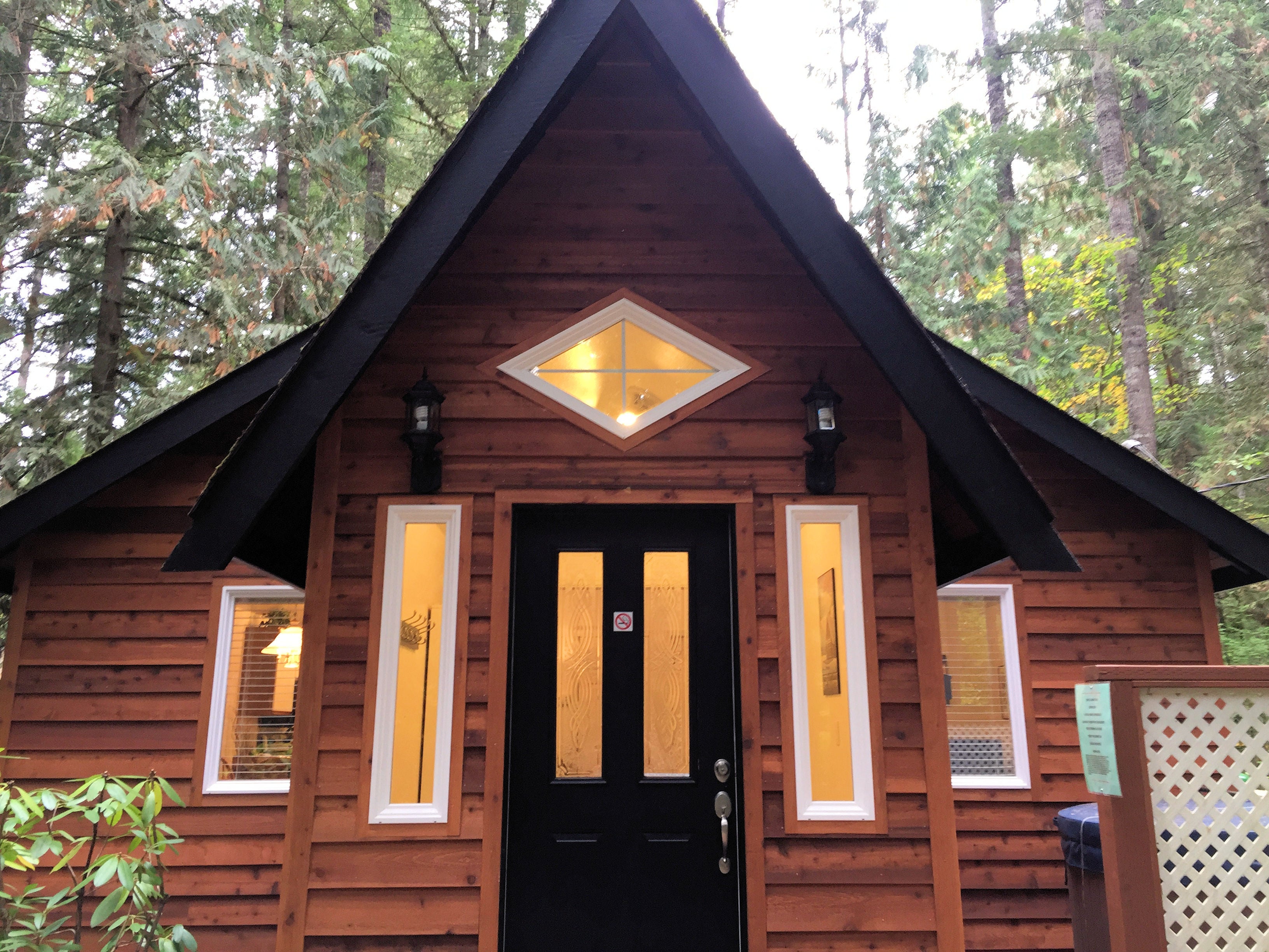 Camper submitted image from Mt. Baker Lodging - Cabin #16 - HOT TUB, FIREPLACE, W/D, D/W, BBQ, PETS OK, SLEEPS-4! - 4