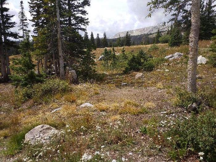Camper submitted image from Brooklyn Lake Campground - 4