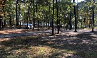Camping near Big Fir Primitive Camping: Edgewood, Bismarck, Arkansas