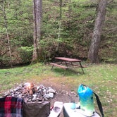 Review photo of Soaring Eagle Campground by Lori H., April 14, 2019