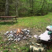 Review photo of Soaring Eagle Campground by Lori H., April 14, 2019