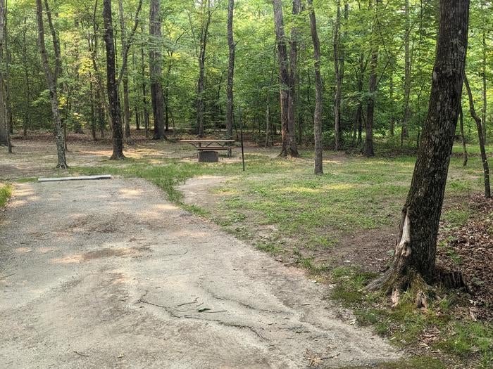 Camper submitted image from Prince William Forest RV Campground — Prince William Forest Park - 2