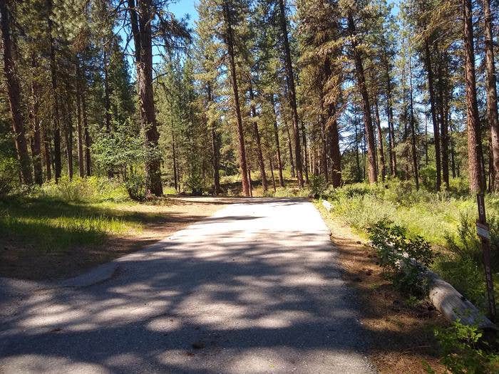 Camper submitted image from Grayback - 1