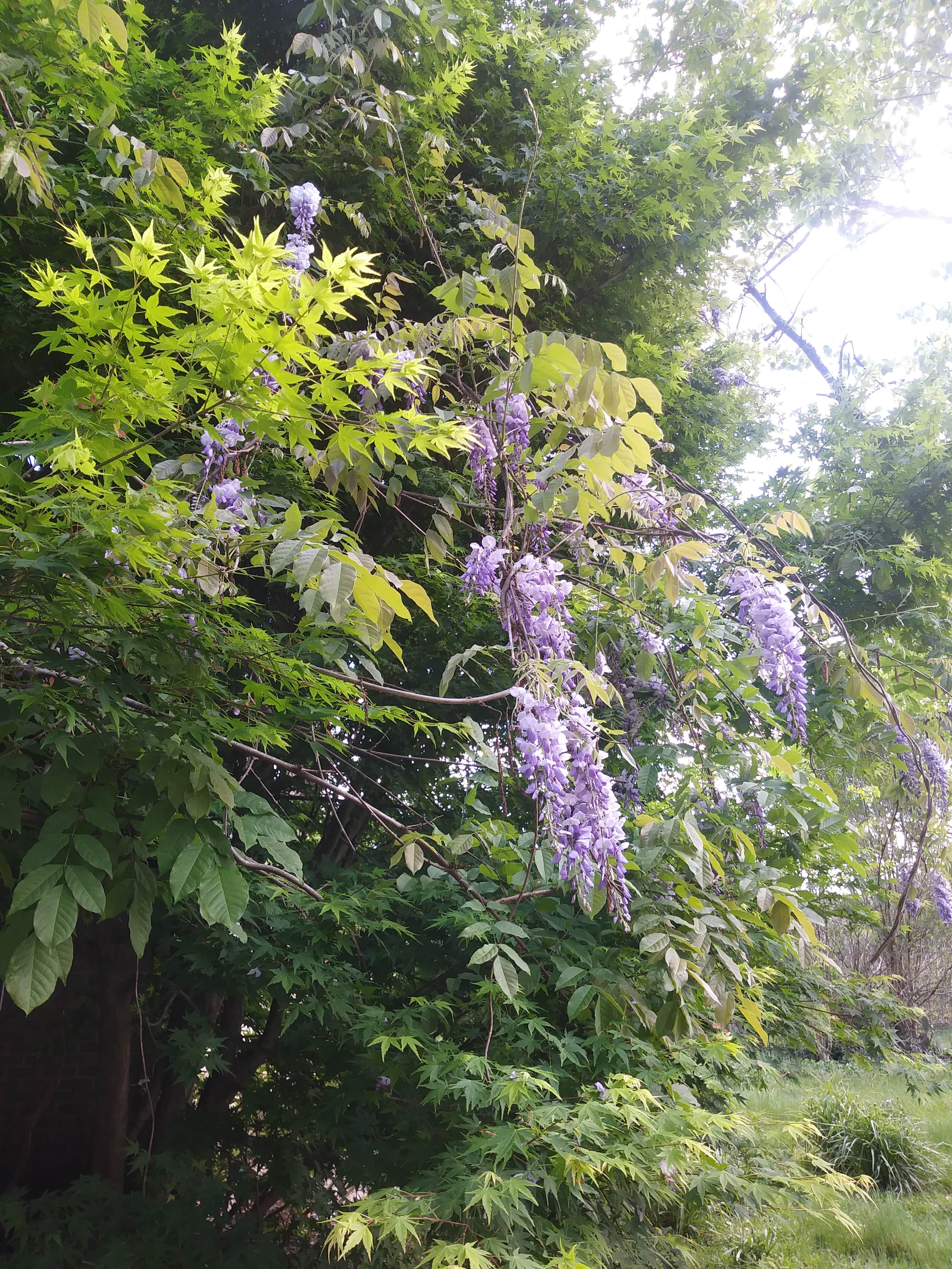 Camper-submitted photo at Murchison Farm near Andalusia, AL