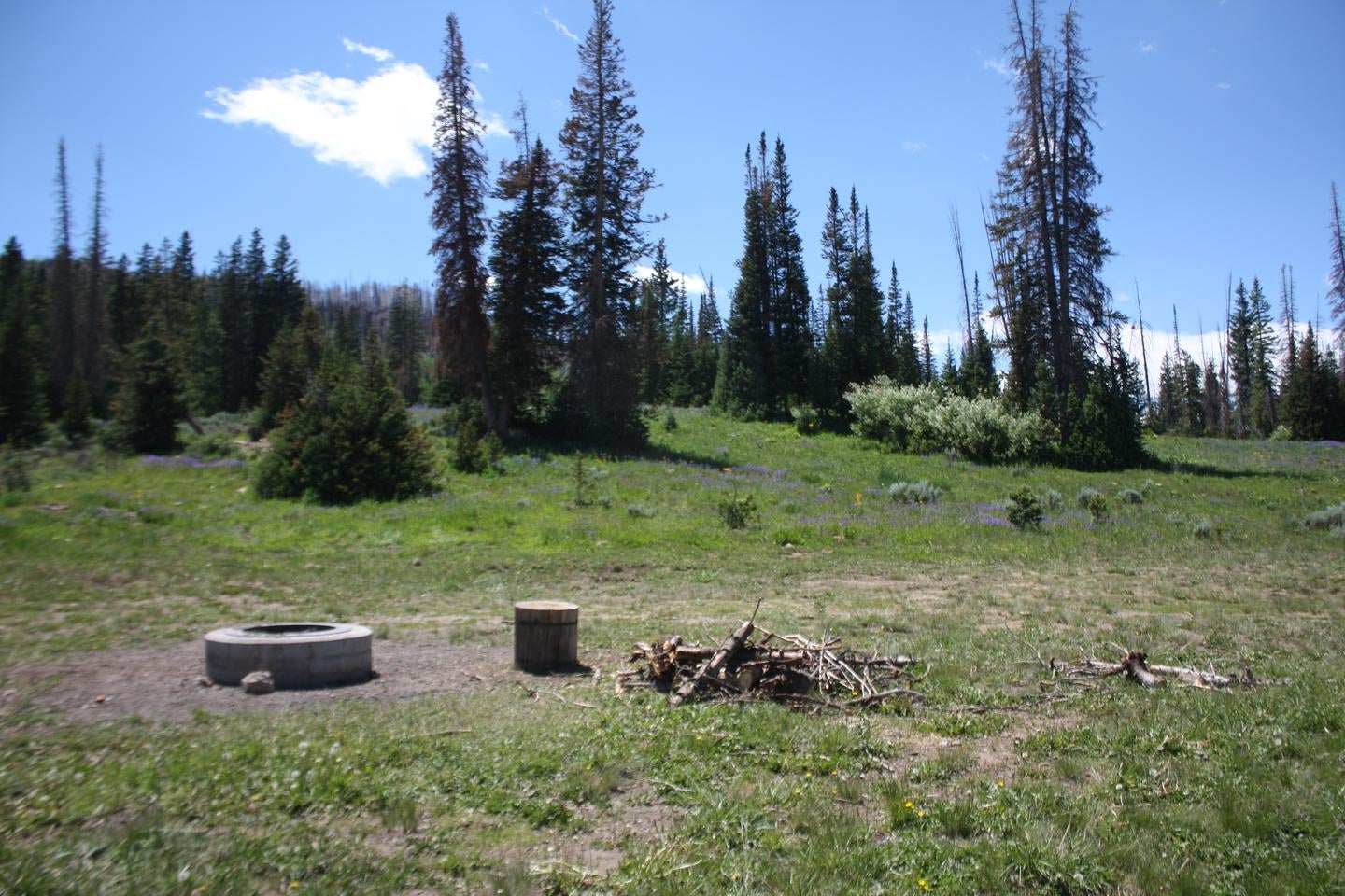 Camper submitted image from Lake Canyon Recreation Area - 3