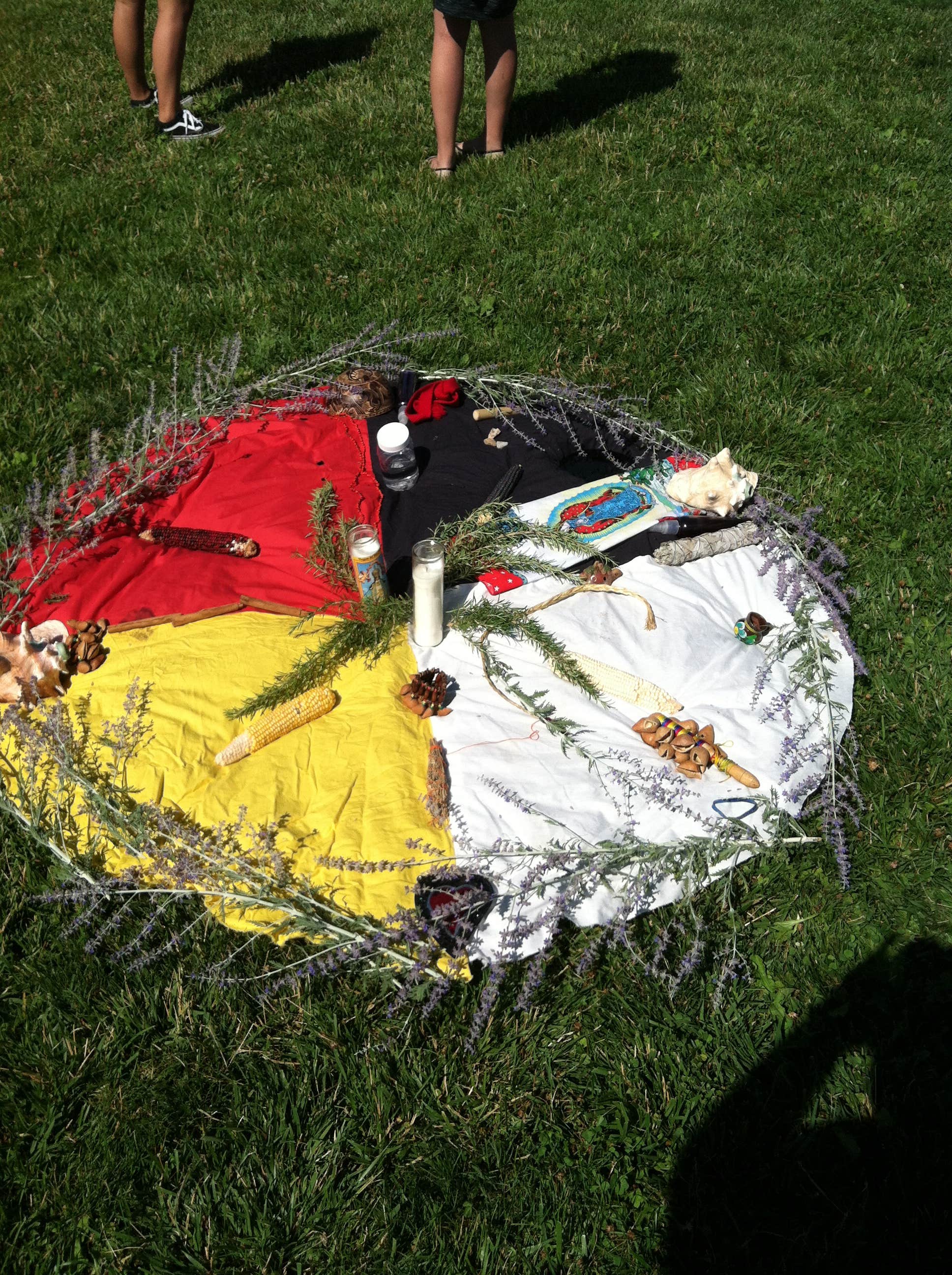 Camper submitted image from Mother Bosque Gardens - 4