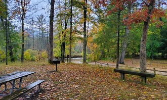 Camping near Condon Lake: Gleasons Landing, Baldwin, Michigan