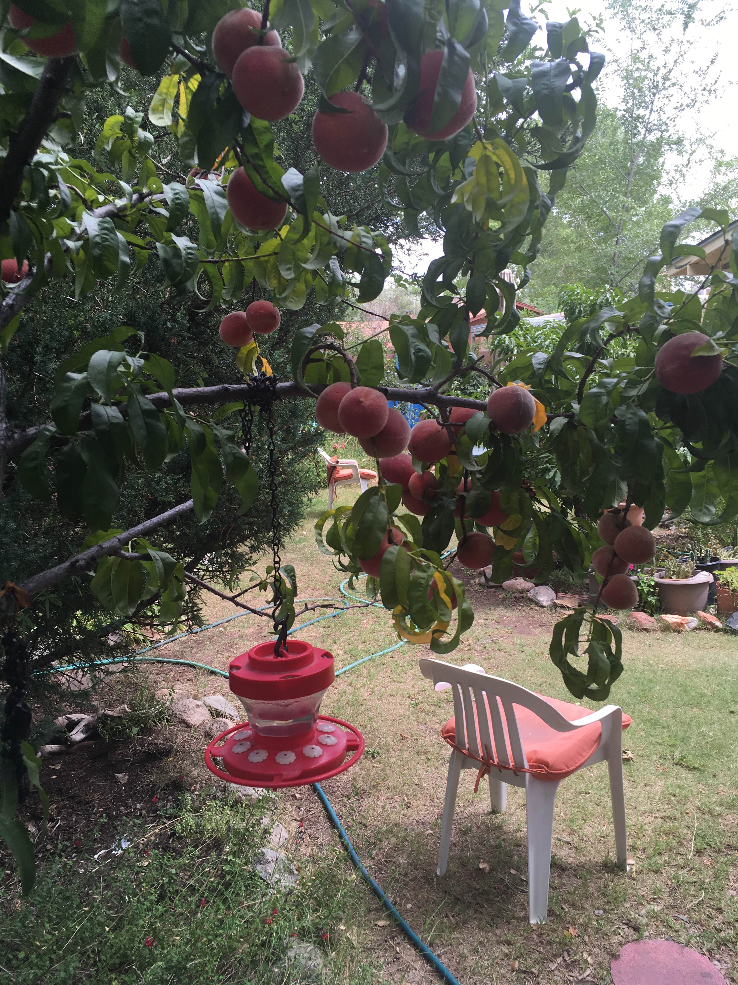 Mother Bosque Gardens