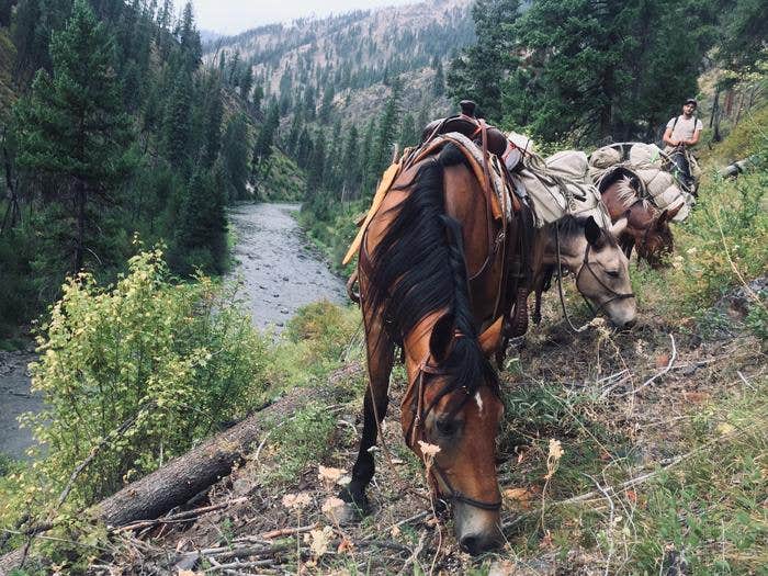Camper submitted image from North Fork John Day - 2