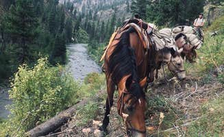The Dyrt's photo of camping with a horse at North Fork John Day in Oregon