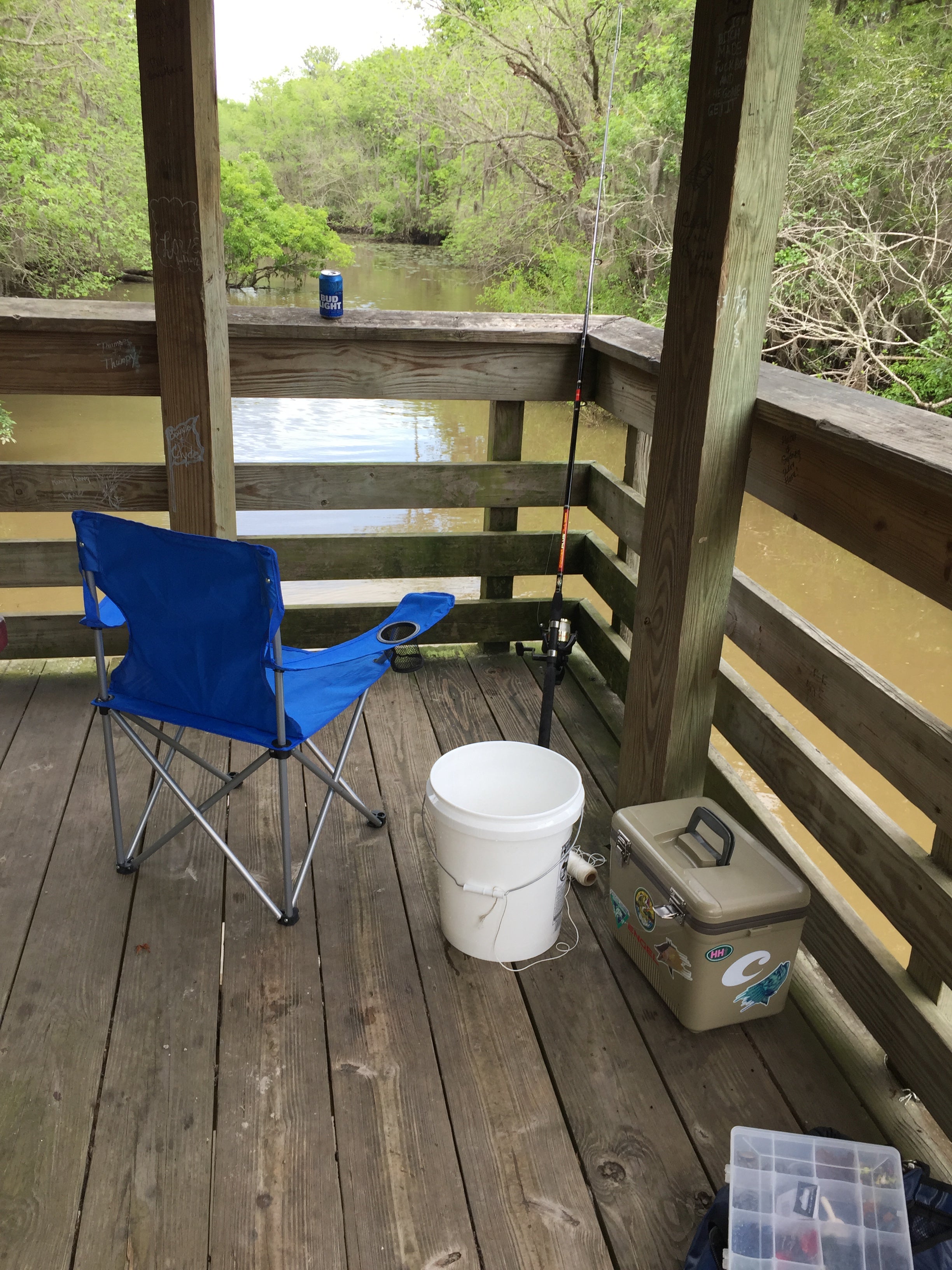 Camper submitted image from Altamaha Regional Park - 1