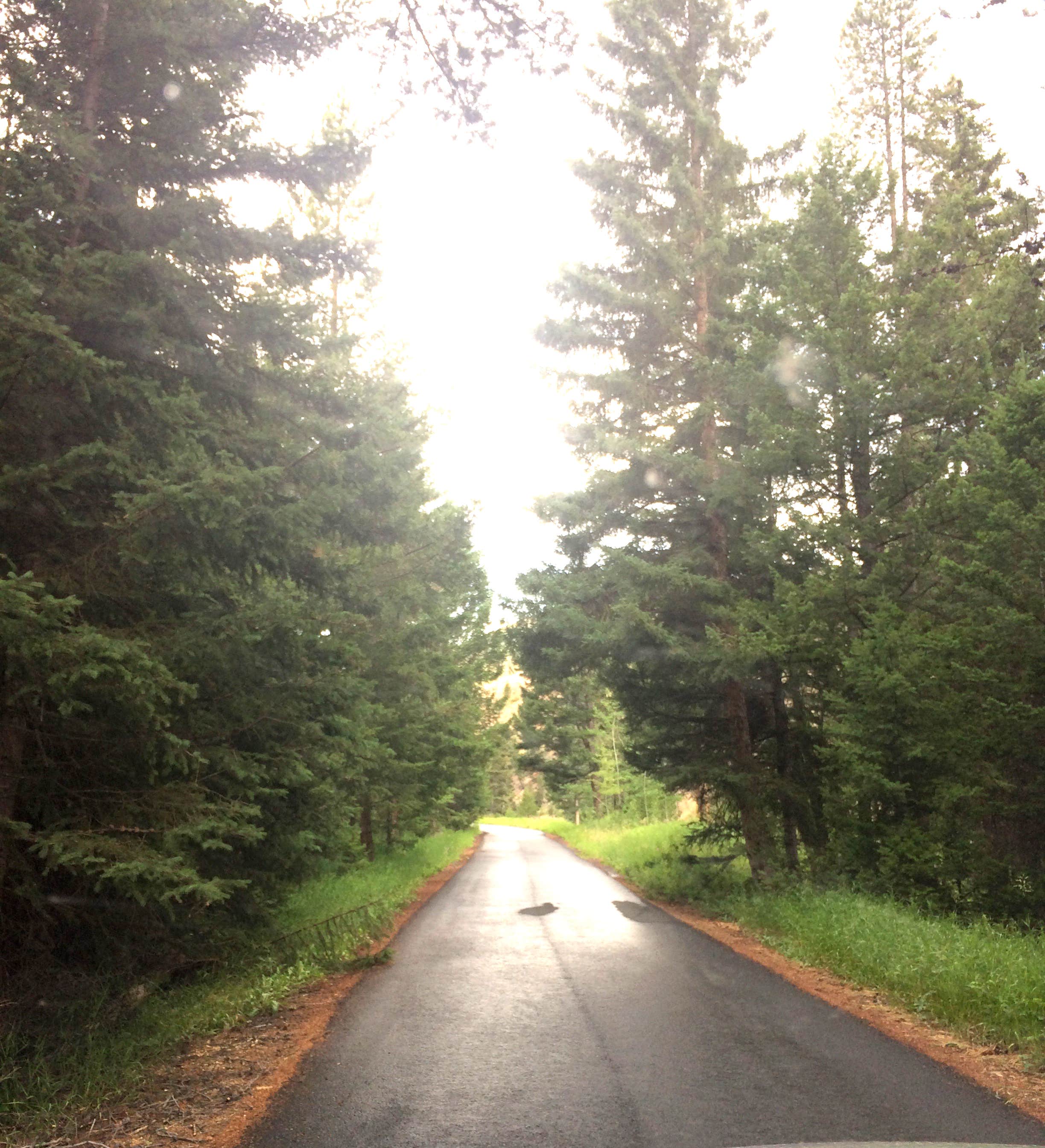 Roads