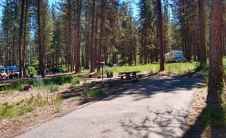 The Dyrt's photo at Grayback near Idaho City, ID