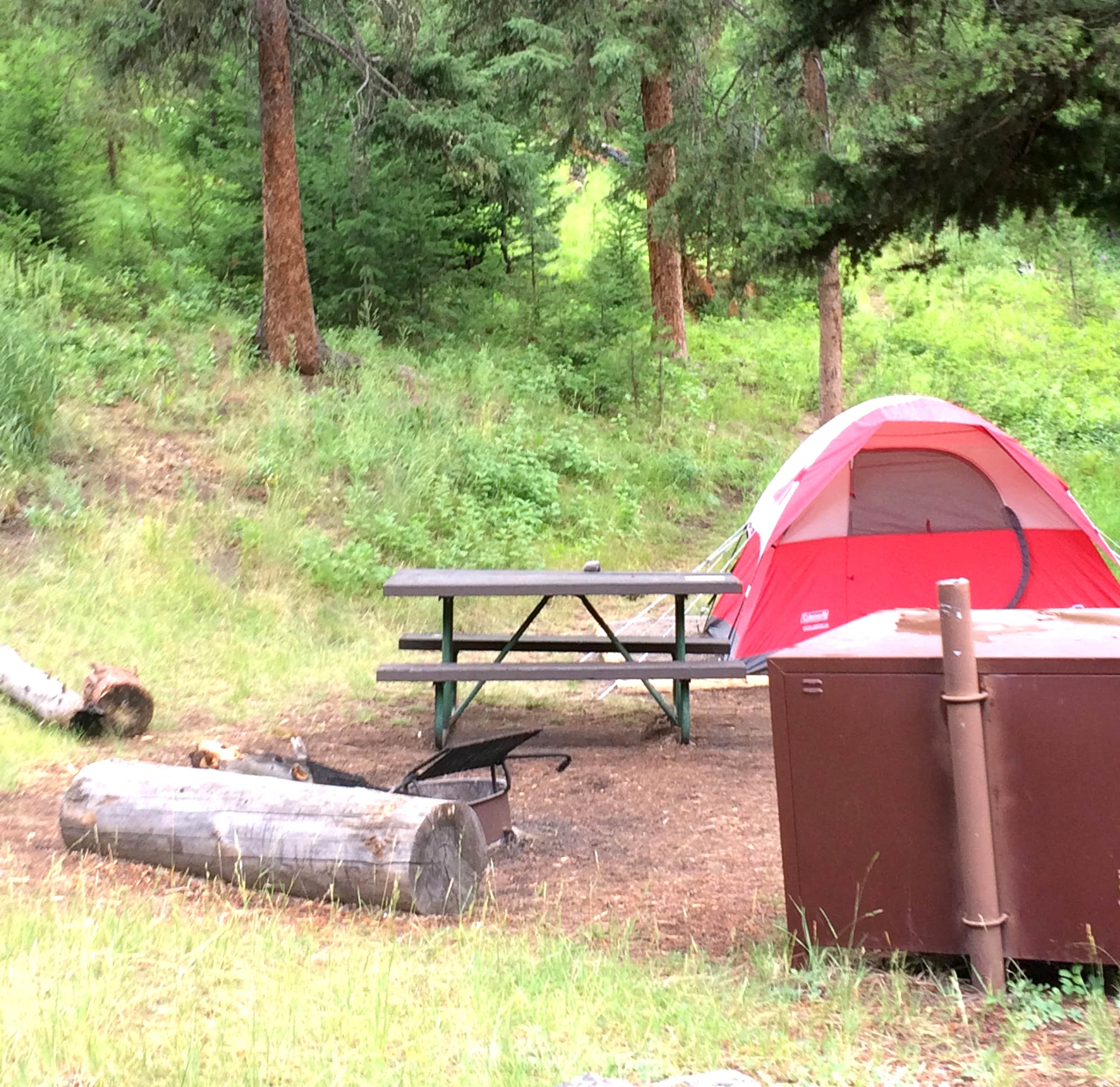 Corinna B.'s photo at Tower Fall Campground — Yellowstone National Park near Yellowstone National Park
