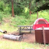 Review photo of Tower Fall Campground — Yellowstone National Park by Corinna B., April 15, 2019