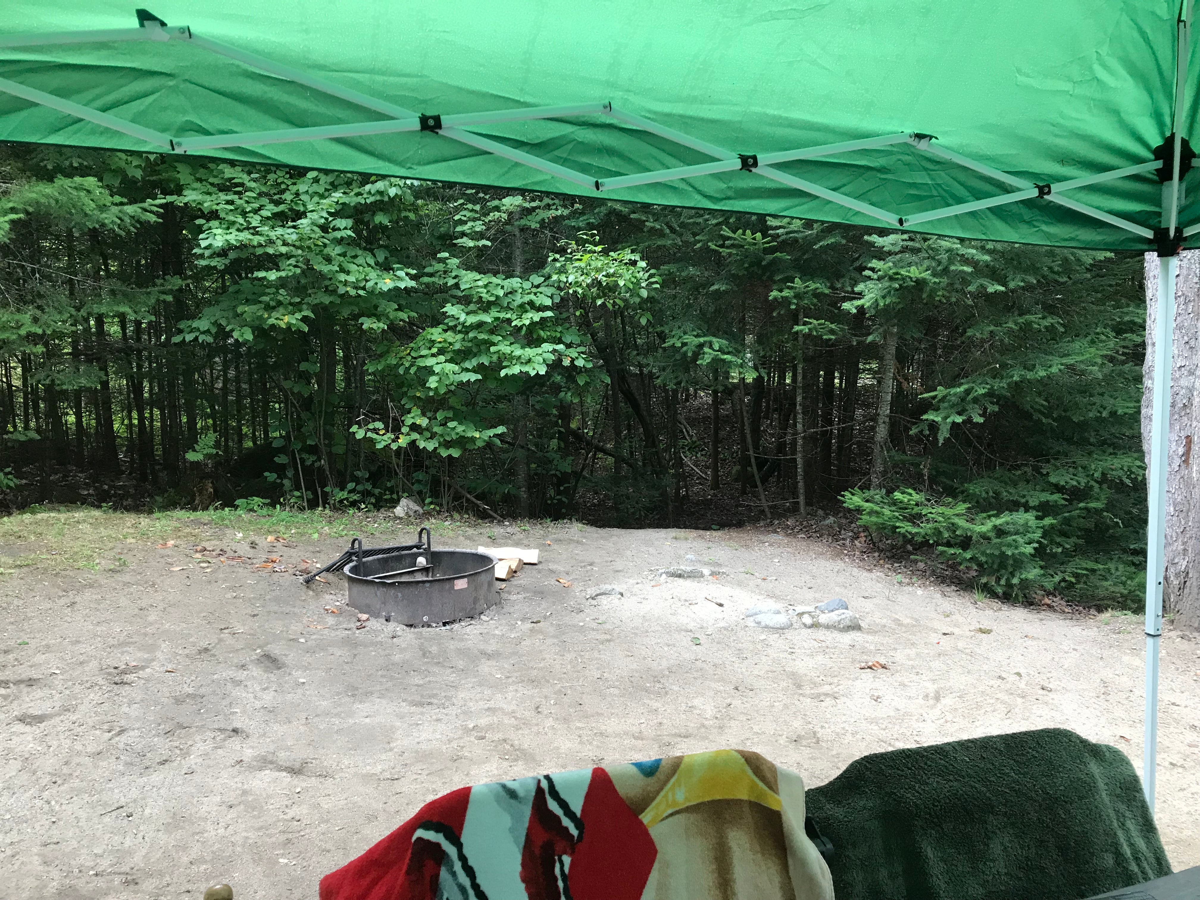 Camper submitted image from Groton Forest Road Campground - 1