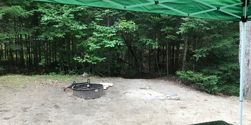 Camper submitted image from Groton Forest Road Campground