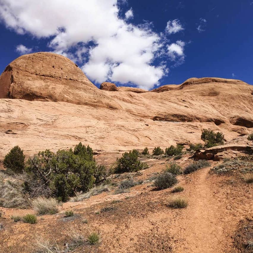 Windwhistle Campground Camping The Dyrt