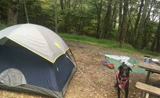 Erica M.'s photo at Big Meadows Campground — Shenandoah National Park near Stanley, VA