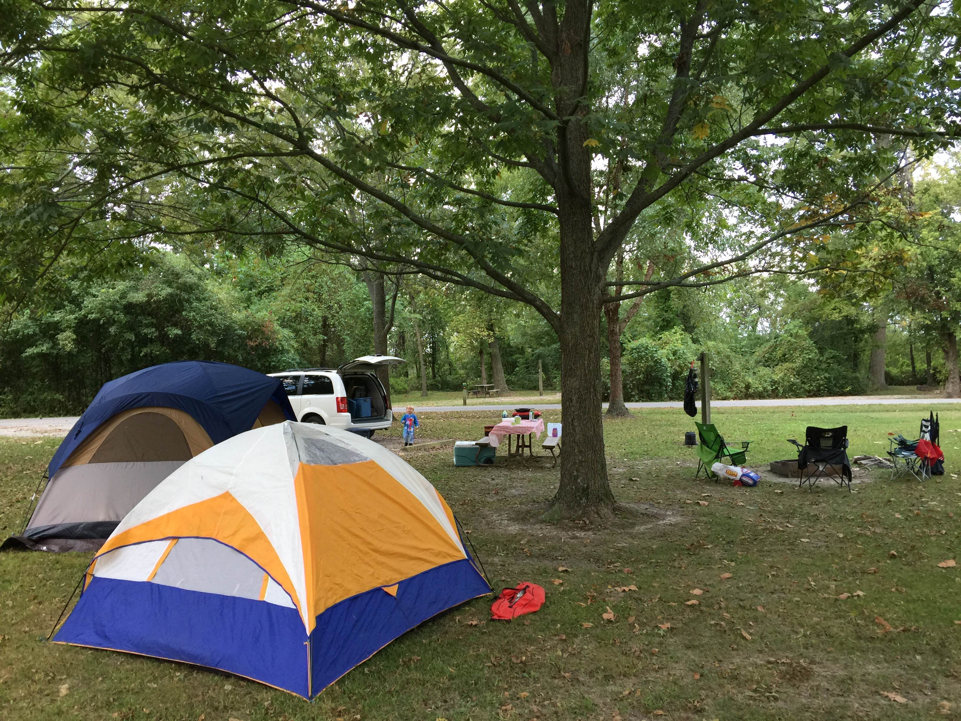 Josh S.'s photo at Indian Creek Campground near Mark Twain Lake