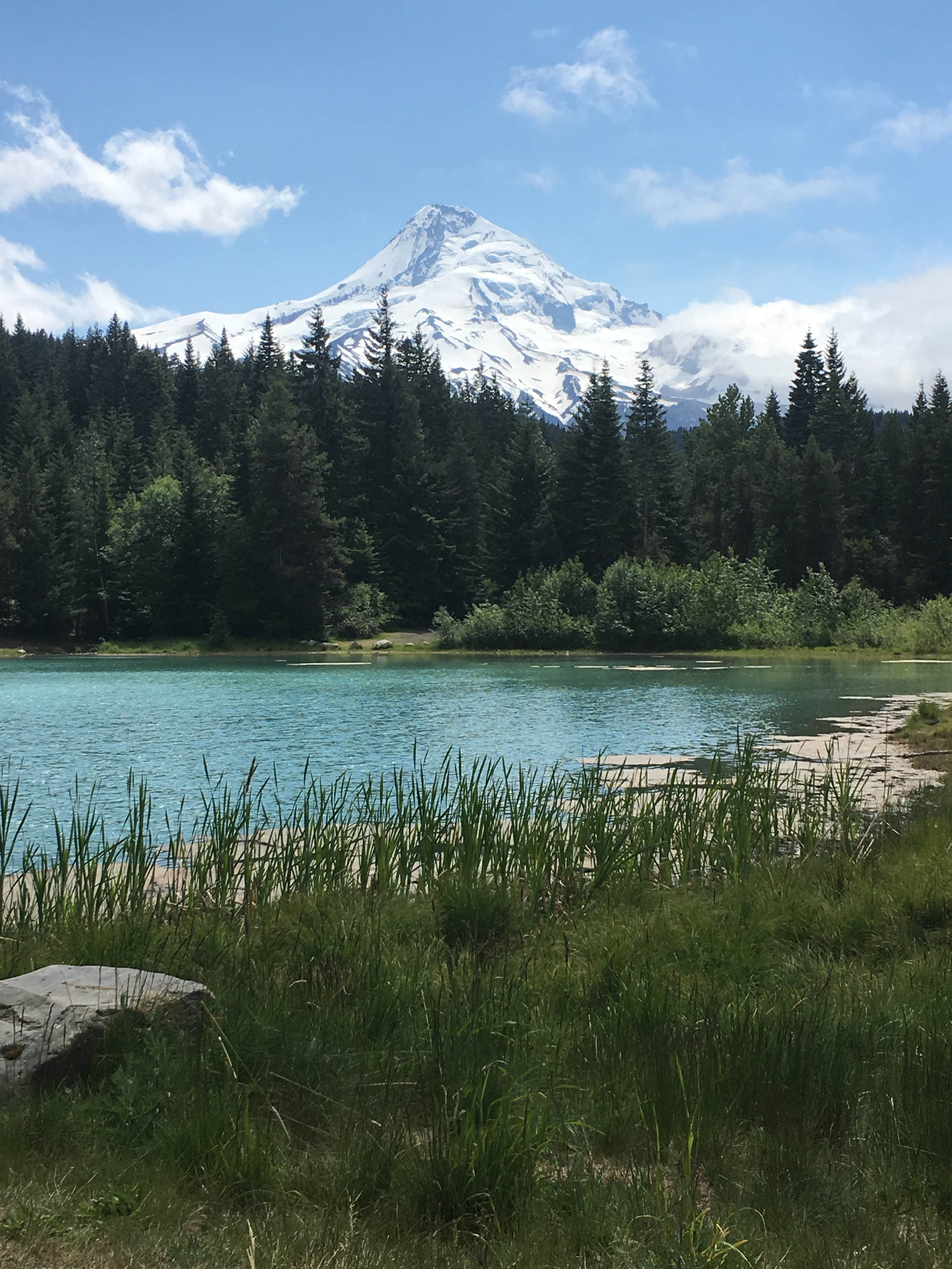 Camper submitted image from Kinnikinnick (laurance Lake) Campground - 2